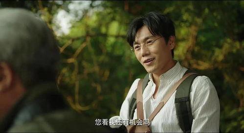 娱乐圈吃瓜情报局隐秘,隐秘情报局大揭秘，吃瓜群众狂欢时刻