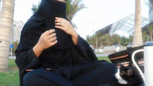 娱乐吃瓜君每日吃瓜,揭秘娱乐圈最新热点，每日吃瓜不停歇！